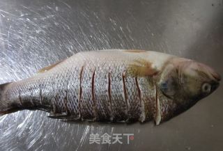 清蒸鲈魚的做法步骤：1