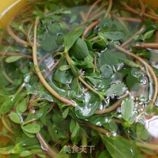 酱牛肉拌马齿苋的做法步骤：2