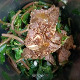 酱牛肉拌马齿苋的做法步骤：8