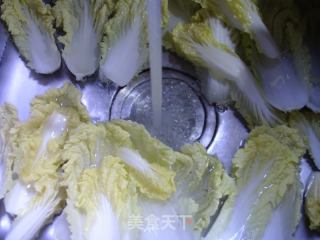 番茄娃娃菜豆腐汤的做法步骤：5