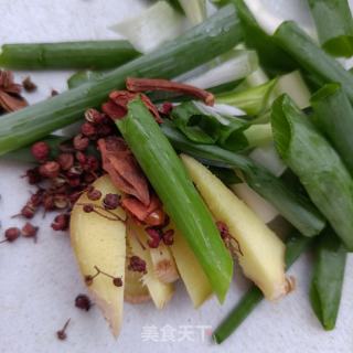 清炖牛蝎子的做法步骤：4