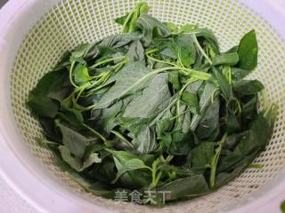 蒜蓉苋菜的做法步骤：1