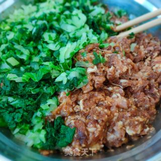全麦鲜肉白菜包子的做法步骤：4