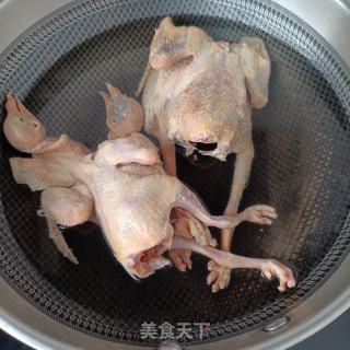 天麻沙参玉竹炖鸽子的做法步骤：5