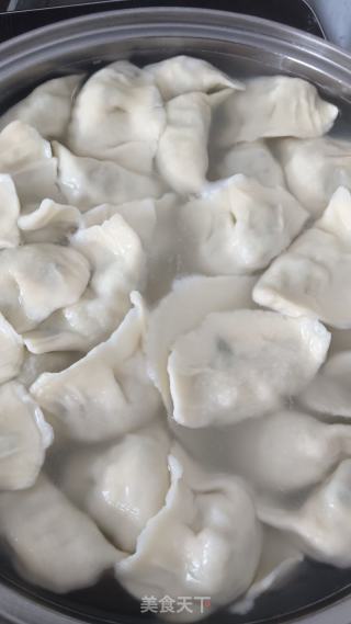 黄瓜水饺的做法步骤：6
