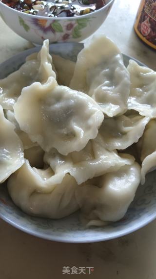 黄瓜水饺的做法步骤：7
