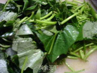 蒜香红薯叶的做法步骤：5