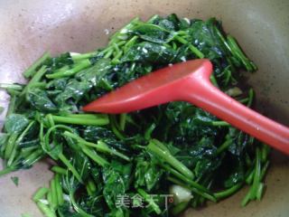 蒜香红薯叶的做法步骤：7