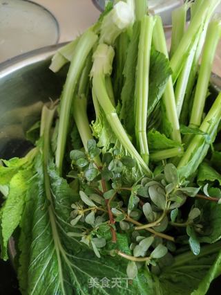 春菜肉片汤的做法步骤：1