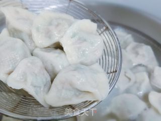 韭菜牛肉馅水饺的做法步骤：10