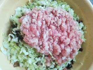 包包菜鸡肉饺子的做法步骤：4