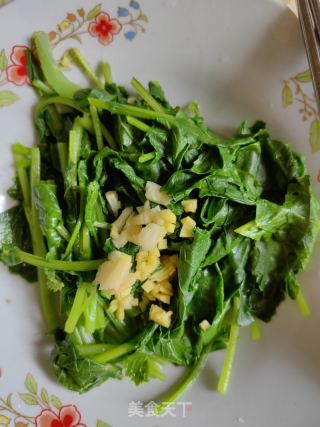 姜蒜拌毛毛菜的做法步骤：7