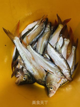 香酥红尾鱼的做法步骤：1