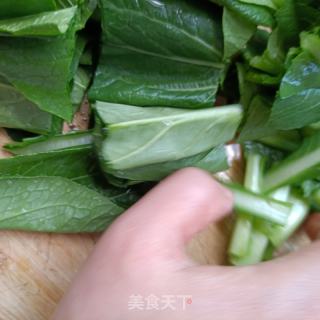 鲍鱼海参拌菜芯的做法步骤：2