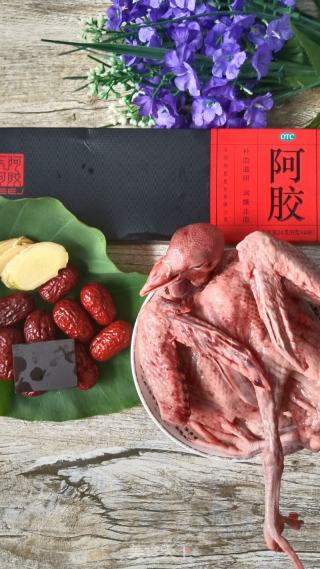 阿胶炖乳鸽的做法步骤：1