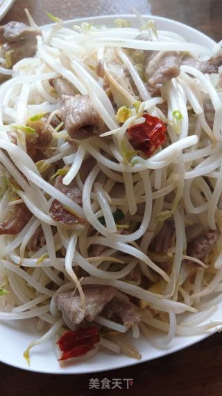 绿豆芽炒肉的做法步骤：5