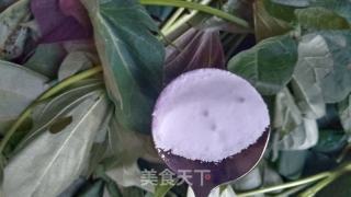 蒜末红薯藤的做法步骤：1