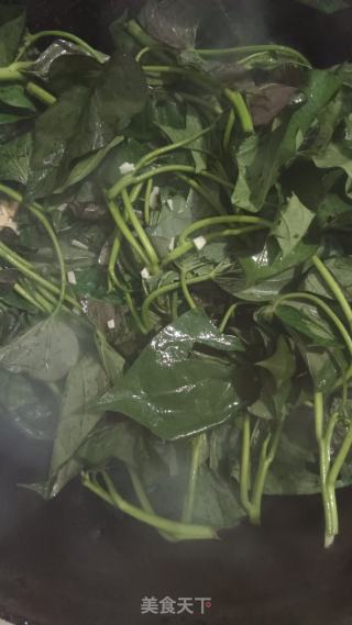 蒜末红薯藤的做法步骤：5