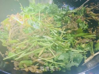 香菜炒牛肉的做法步骤：8