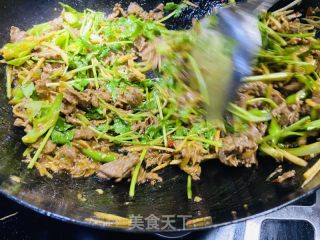 香菜炒牛肉的做法步骤：9