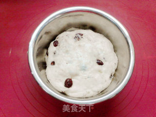 蔓越莓核桃欧包的做法步骤：7