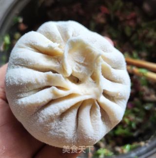 洋葱香菜牛肉包子的做法步骤：8