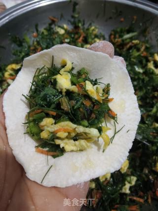 茴香馅素饺子的做法步骤：8