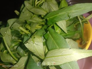 炒空心菜的做法步骤：2
