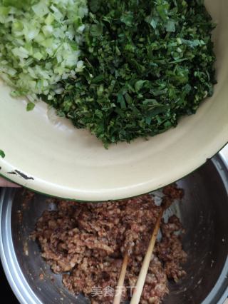 鲜肉海米小馄饨的做法步骤：6