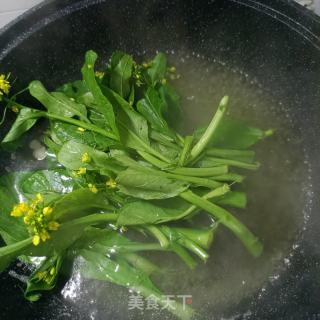 对虾炒菜芯的做法步骤：2