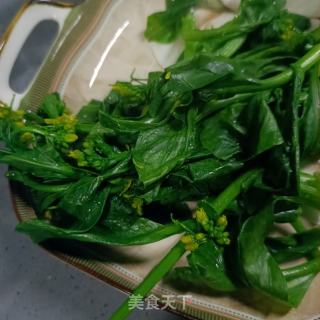 对虾炒菜芯的做法步骤：3