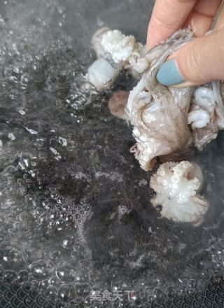 葱姜拌章鱼的做法步骤：5