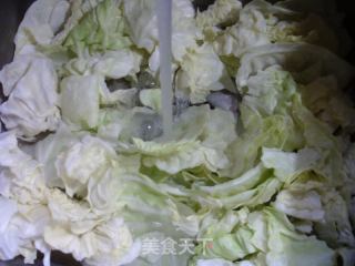 包心菜素馅锅贴的做法步骤：4