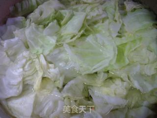 包心菜素馅锅贴的做法步骤：5