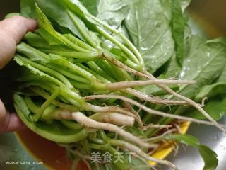 萝卜菜的做法步骤：1