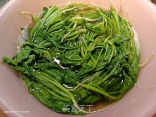 萝卜菜的做法步骤：6
