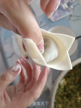 馄饨~白菜肉的做法步骤：8