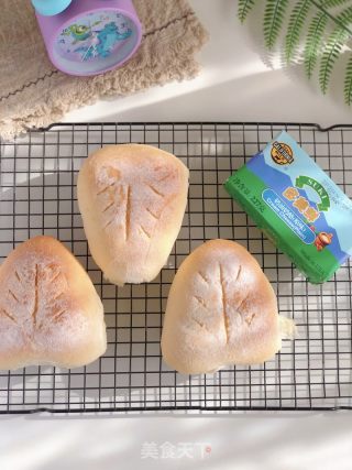 蔓越莓乳酪软欧面包的做法步骤：8