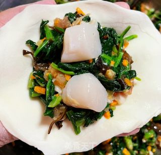 扇贝鲜肉菠菜盒子的做法步骤：11