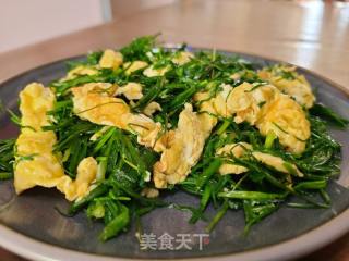 小蒜炒鸡蛋的做法