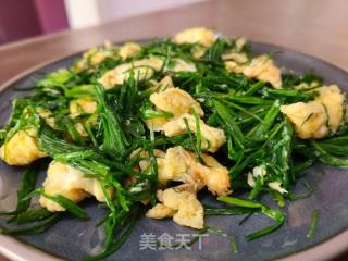小蒜炒鸡蛋的做法步骤：7