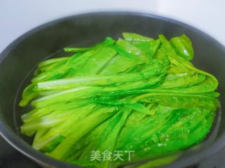 浇汁肉丝油麦菜的做法步骤：3