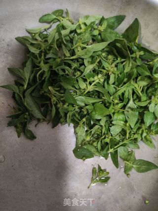 姜丝荆芥煎蛋的做法步骤：2
