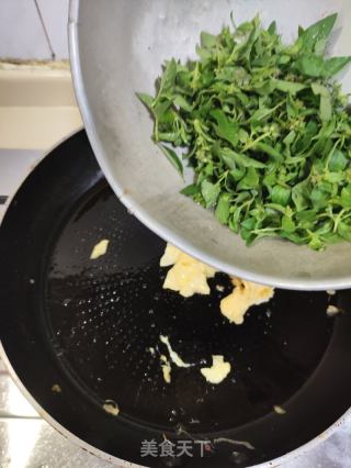 姜丝荆芥煎蛋的做法步骤：6
