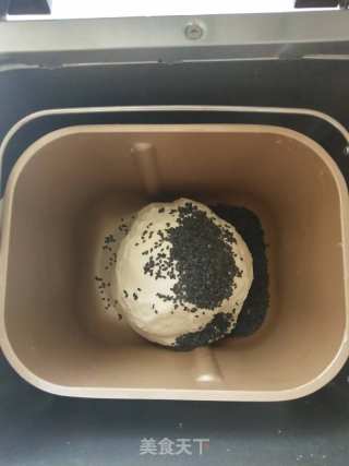 黑芝麻红豆软欧的做法步骤：4