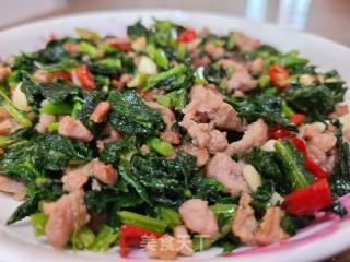 雪里红炒肉沫的做法步骤：9