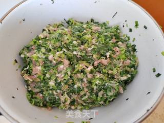 油菜猪肉麦饼的做法步骤：4