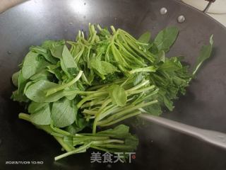 清炒油菜的做法步骤：4