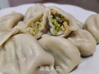 南瓜猪肉馅饺子的做法步骤：14