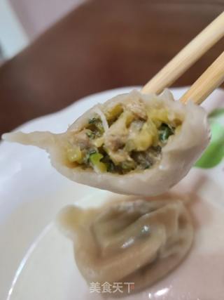 南瓜猪肉馅饺子的做法步骤：15